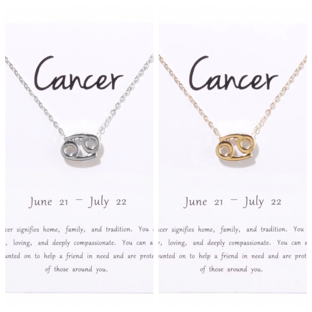 Cancer ♋️ Zodiac Sign Necklace